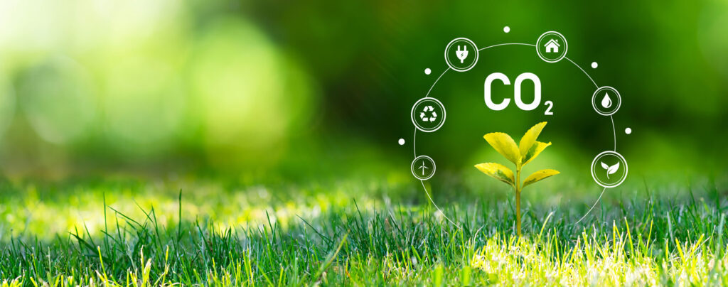 Digital composite image of a young plant sprouting from a lush green lawn with a symbolic diagram of CO2 and sustainability icons like recycling, water, home, energy, and plant life encircling it. This concept represents the interconnectivity of carbon dioxide management and environmental conservation efforts.